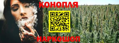 стаф Бугуруслан