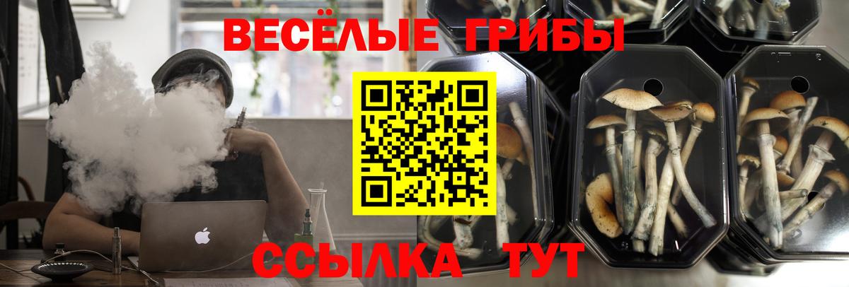 купить закладку  Вход с VPN  Псилоцибиновые грибы ЛСД  Дятьково  Псилоцибиновые грибы Psilocybe 